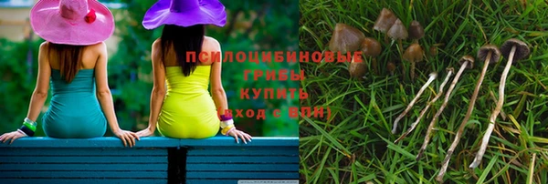 молекула духа Протвино