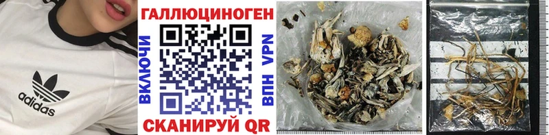купить наркоту  Ковдор  Галлюциногенные грибы мухоморы 